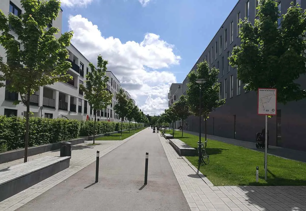 Route au milieu des arbres en ville