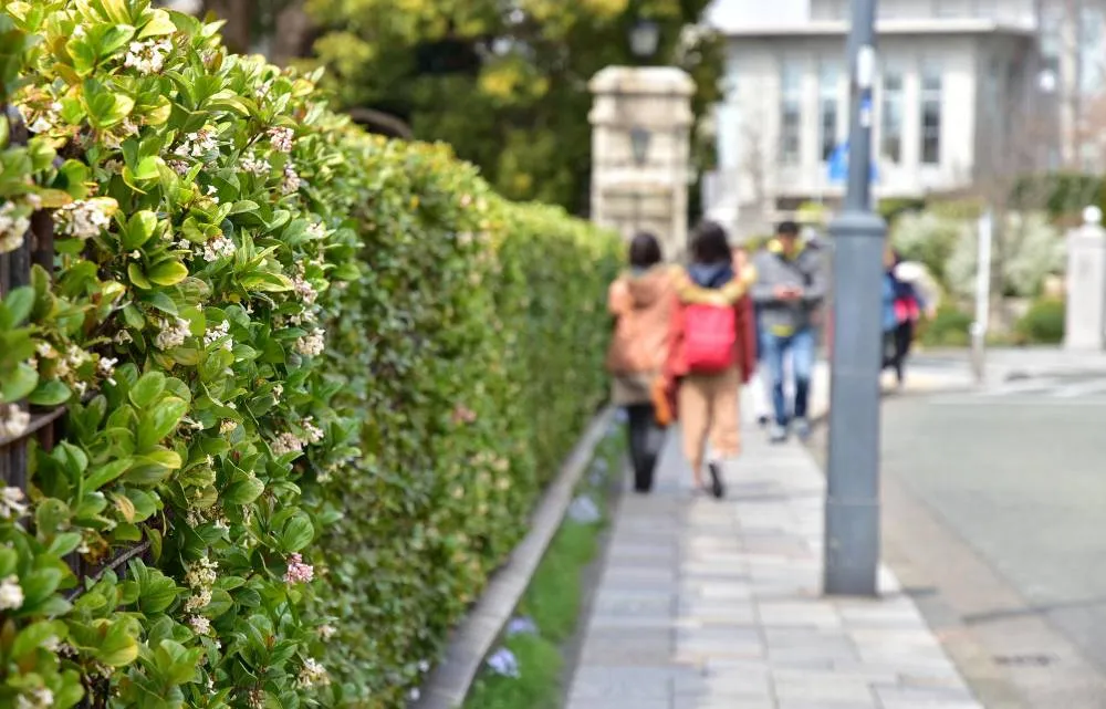Des gens marchent sur le sentier