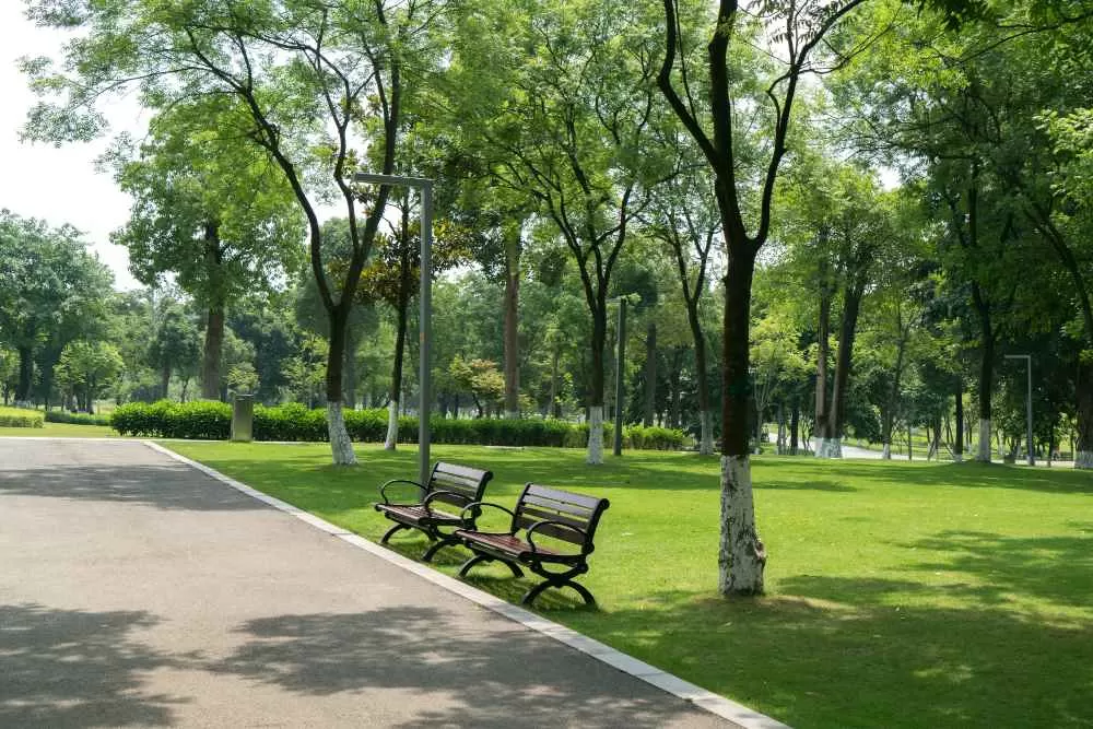 parc urbain avec deux bancs