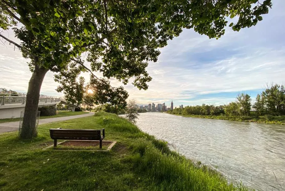 Banc sur un terrain au bord de l'eau