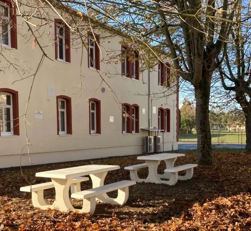 Classic picnic tables