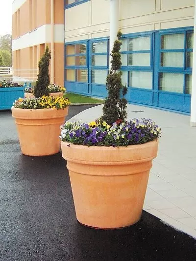 Giant pot concrete planter