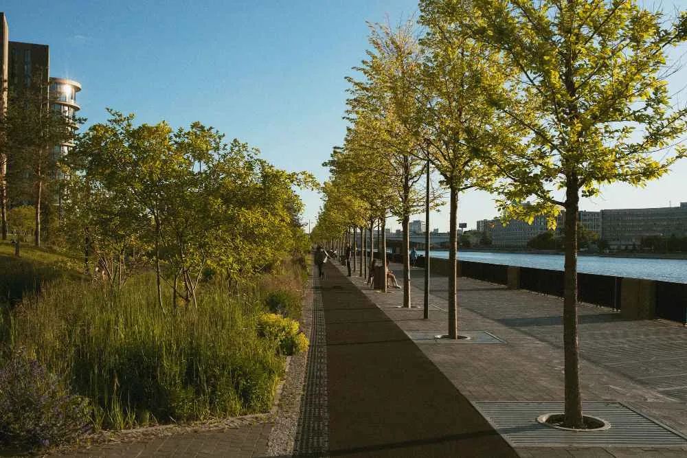 Paysage urbain avec des bâtiments à la lumière du jour
