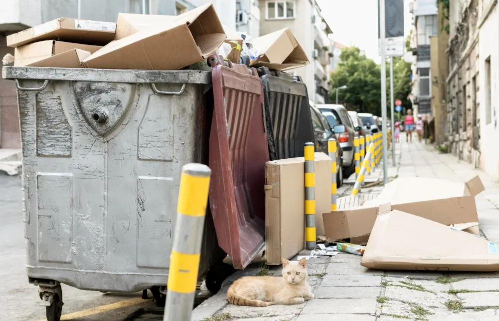 Poubelles débordant sur la voie publiques, et cartons abandonnés sur le trottoir en ville