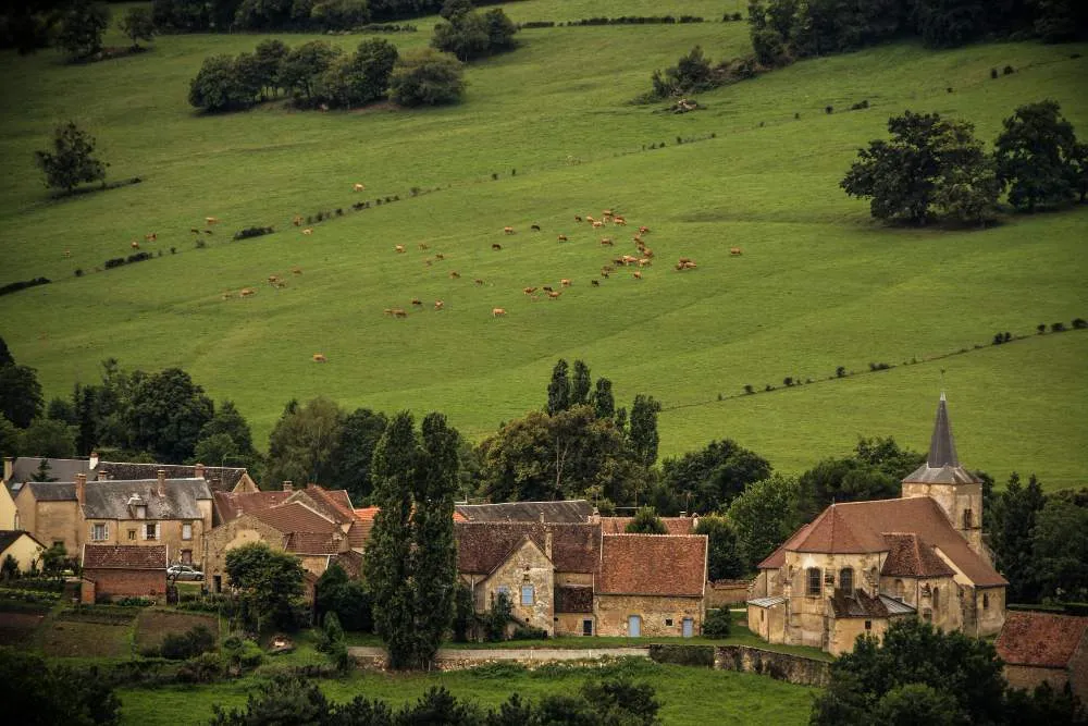 Maisons sur le terrain contre les arbres