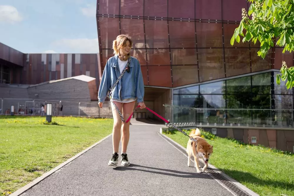 Vrouw die haar Shiba Inu uitlaat